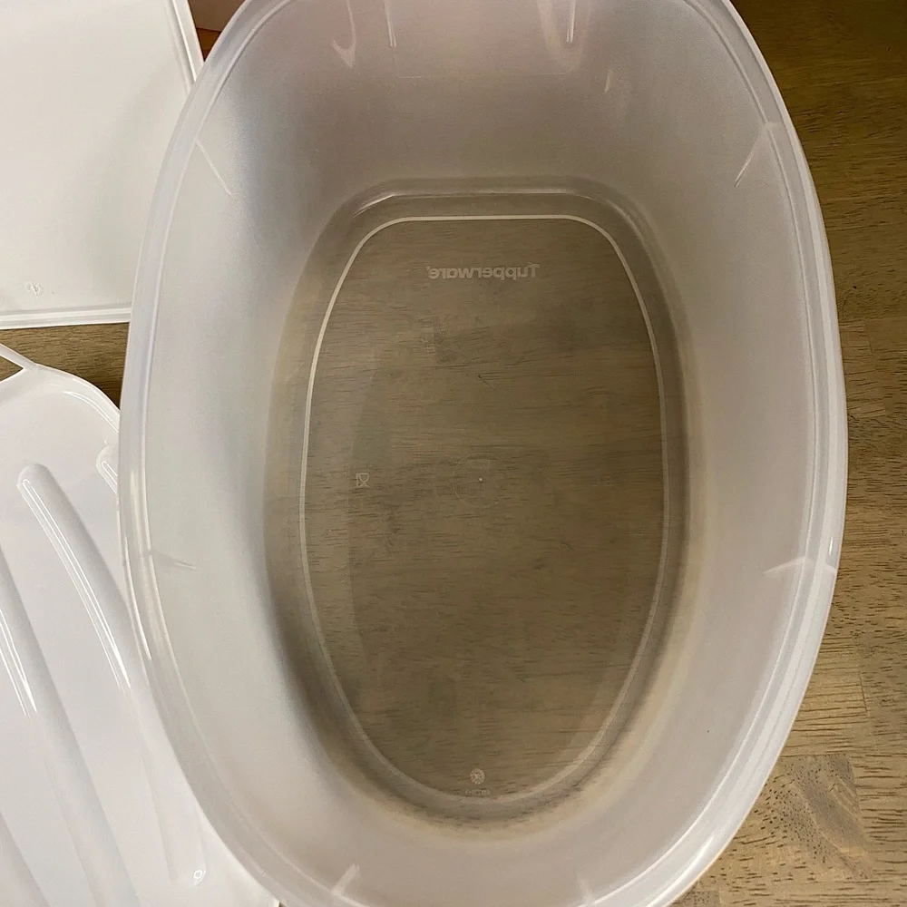 Tupperware XL Food‎ Storage Container 1.55 Gallon- NEW